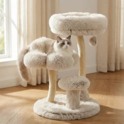 Fudajo Designer Kratzbaum 49 x 49 x 74 cm, Katzenkratzbaum mit Plüsch und Sisal, Kletterbaum für Katzen, Katzenbaum mit Spielball