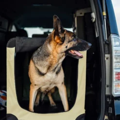 Fudajo Faltbare Transportbox für Hunde, Katzen XL (82x56x58cm), robust, leicht, sicher, Hundebox mit Tragegriff und Decke, Beige