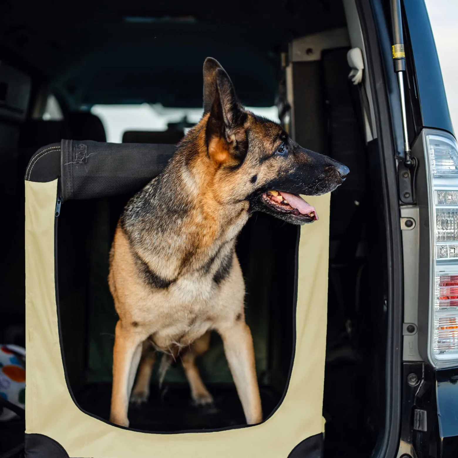 Fudajo Faltbare Transportbox für Hunde, Katzen L (70x52x50cm), robust, leicht, sicher, Hundebox mit Tragegriff und Decke, Beige