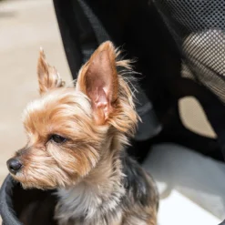 Fudajo 2in1 Hundebuggy zusammenklappbar in Schwarz, Hundewagen mit abnehmbarer Hundetragetasche, für kleine bis mittlere Hunde und Katzen