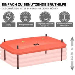Fudajo Küken-Wärmeplatte 40x60cm 66W Heizplatte mit Temperaturregler für 45-50 Küken zur Kunstbrut