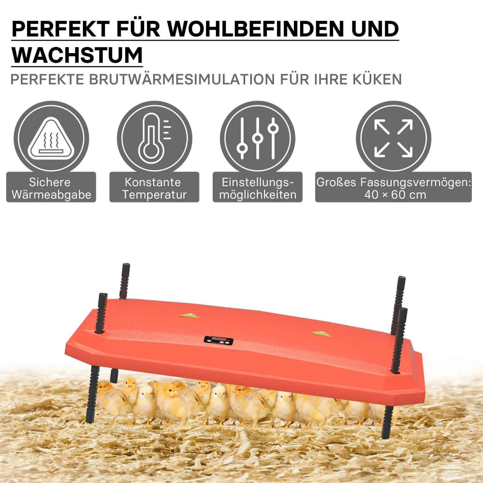 Fudajo Küken-Wärmeplatte 40x60cm 66W Heizplatte mit Temperaturregler für 45-50 Küken zur Kunstbrut
