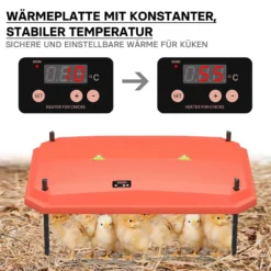 Fudajo Küken-Wärmeplatte 40x60cm 66W Heizplatte mit Temperaturregler für 45-50 Küken zur Kunstbrut