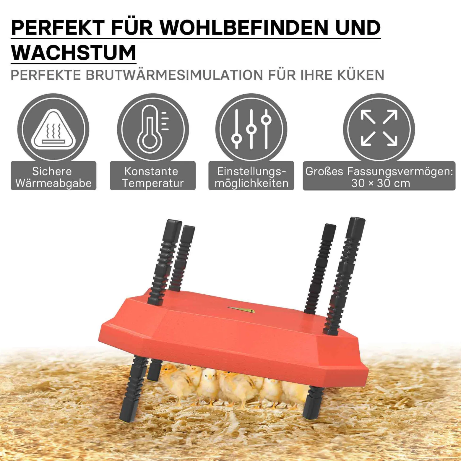 Fudajo Küken-Wärmeplatte 30x30cm 50W Heizplatte mit Temperaturregler für 20-25 Küken zur Kunstbrut