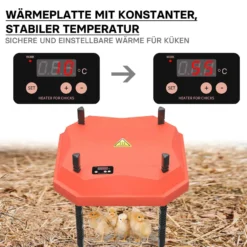 Fudajo Küken-Wärmeplatte 25x25cm 30W Heizplatte mit Temperaturregler für 15-20 Küken zur Kunstbrut