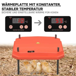 Fudajo Küken-Wärmeplatte 40x40cm 42W Heizplatte mit Temperaturregler für 30-35 Küken zur Kunstbrut