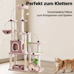 Fudajo Kratzbaum