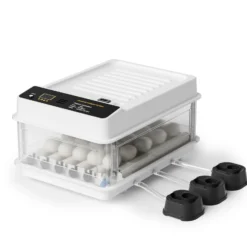 Fudajo Vollautomatischer Flächenbrüter für 24 Eier, Inkubator 80 W mit Wendesystem, Brutautomat mit Temperatursteuerung und Feuchtigskeitsregulierung, Brutkasten zum Eier ausbrüten