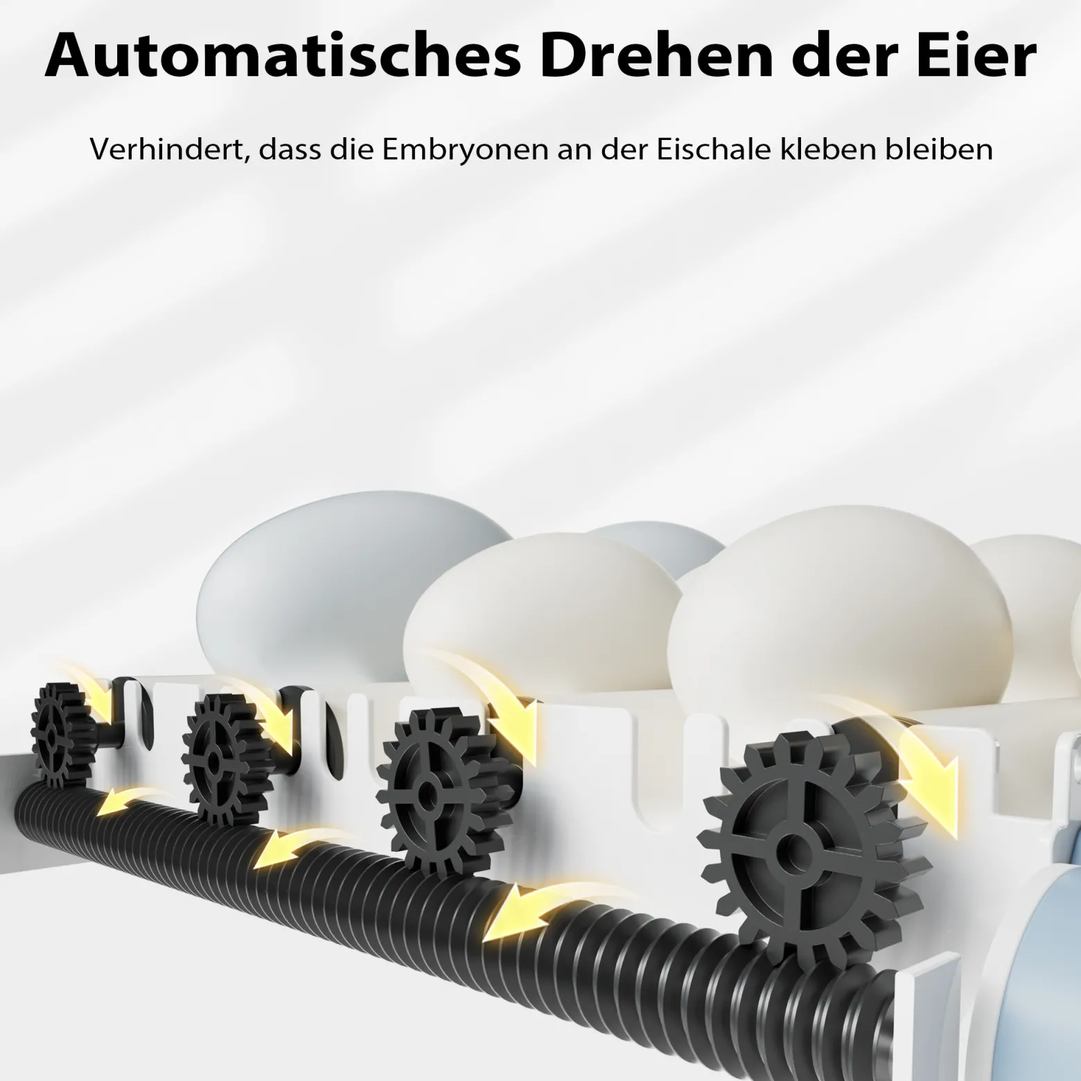 Fudajo Vollautomatischer Flächenbrüter für 24 Eier, Inkubator 80 W mit Wendesystem, Brutautomat mit Temperatursteuerung und Feuchtigskeitsregulierung, Brutkasten zum Eier ausbrüten