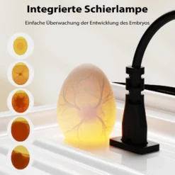 Fudajo Vollautomatischer Flächenbrüter für 24 Eier, Inkubator 80 W mit Wendesystem, Brutautomat mit Temperatursteuerung und Feuchtigskeitsregulierung, Brutkasten zum Eier ausbrüten