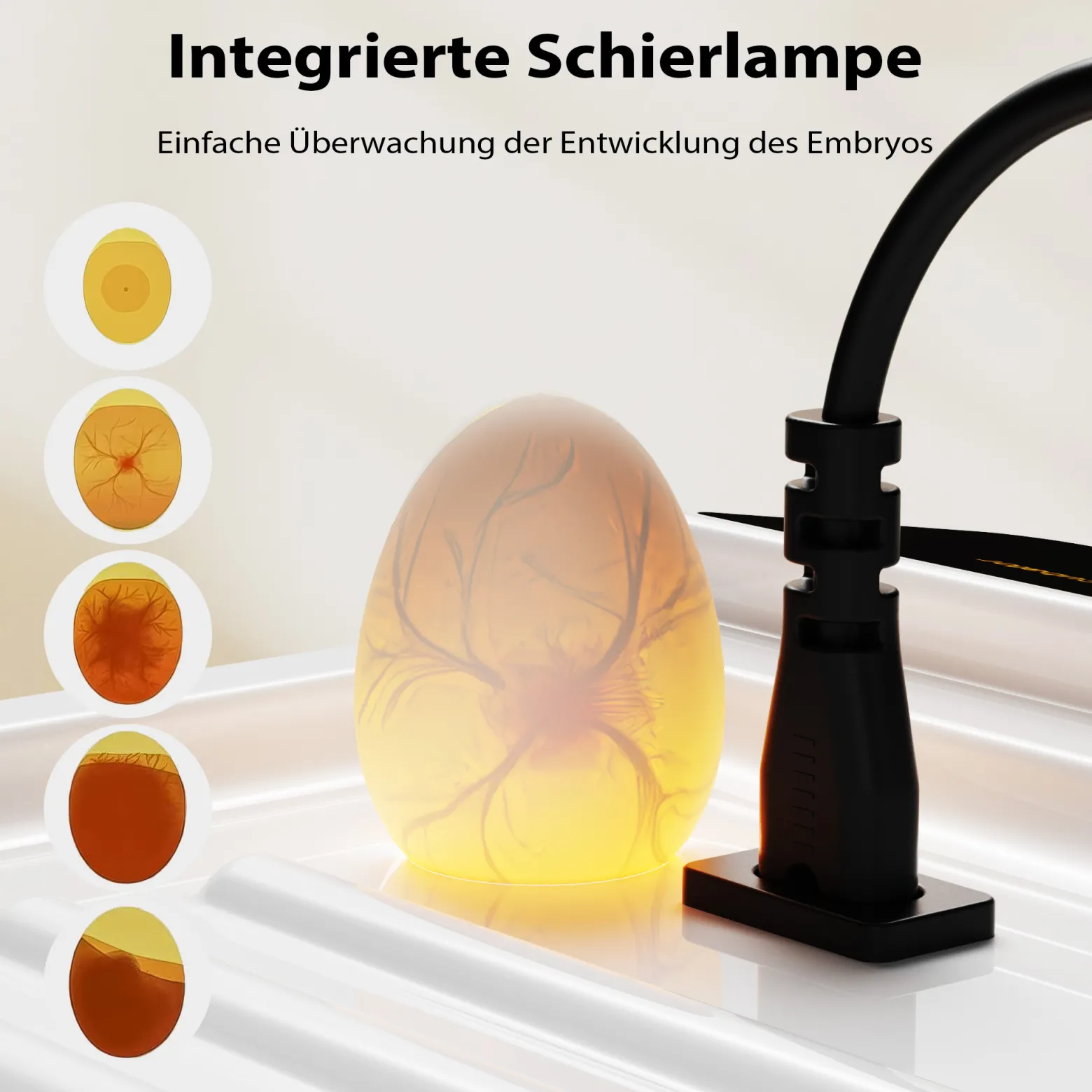Fudajo Vollautomatischer Flächenbrüter für 24 Eier, Inkubator 80 W mit Wendesystem, Brutautomat mit Temperatursteuerung und Feuchtigskeitsregulierung, Brutkasten zum Eier ausbrüten