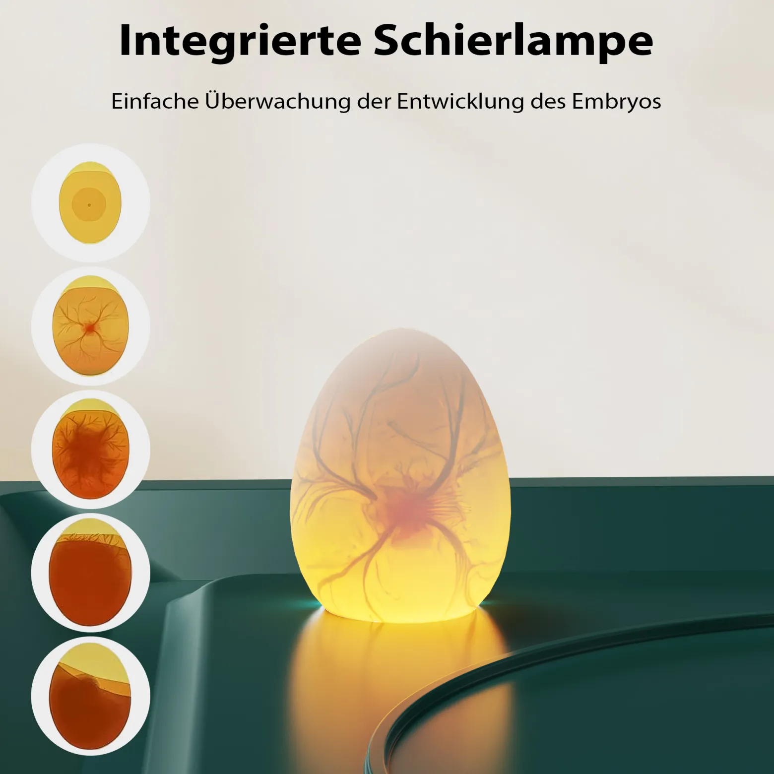 Fudajo Vollautomatischer Flächenbrüter für 30 Eier, Inkubator 40 W mit Wendesystem, Brutautomat mit Temperatursteuerung und Feuchtigskeitsregulierung, Brutkasten zum Eier ausbrüten