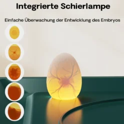 Fudajo Vollautomatischer Flächenbrüter für 15 Eier, Inkubator 40 W mit Wendesystem, Brutautomat mit Temperatursteuerung und Feuchtigskeitsregulierung, Brutkasten zum Eier ausbrüten