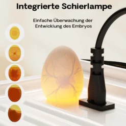 Fudajo Vollautomatischer Flächenbrüter für 64 Eier, Inkubator 110 W mit Wendesystem, Brutautomat mit Temperatursteuerung und Feuchtigskeitsregulierung, Brutkasten zum Eier ausbrüten