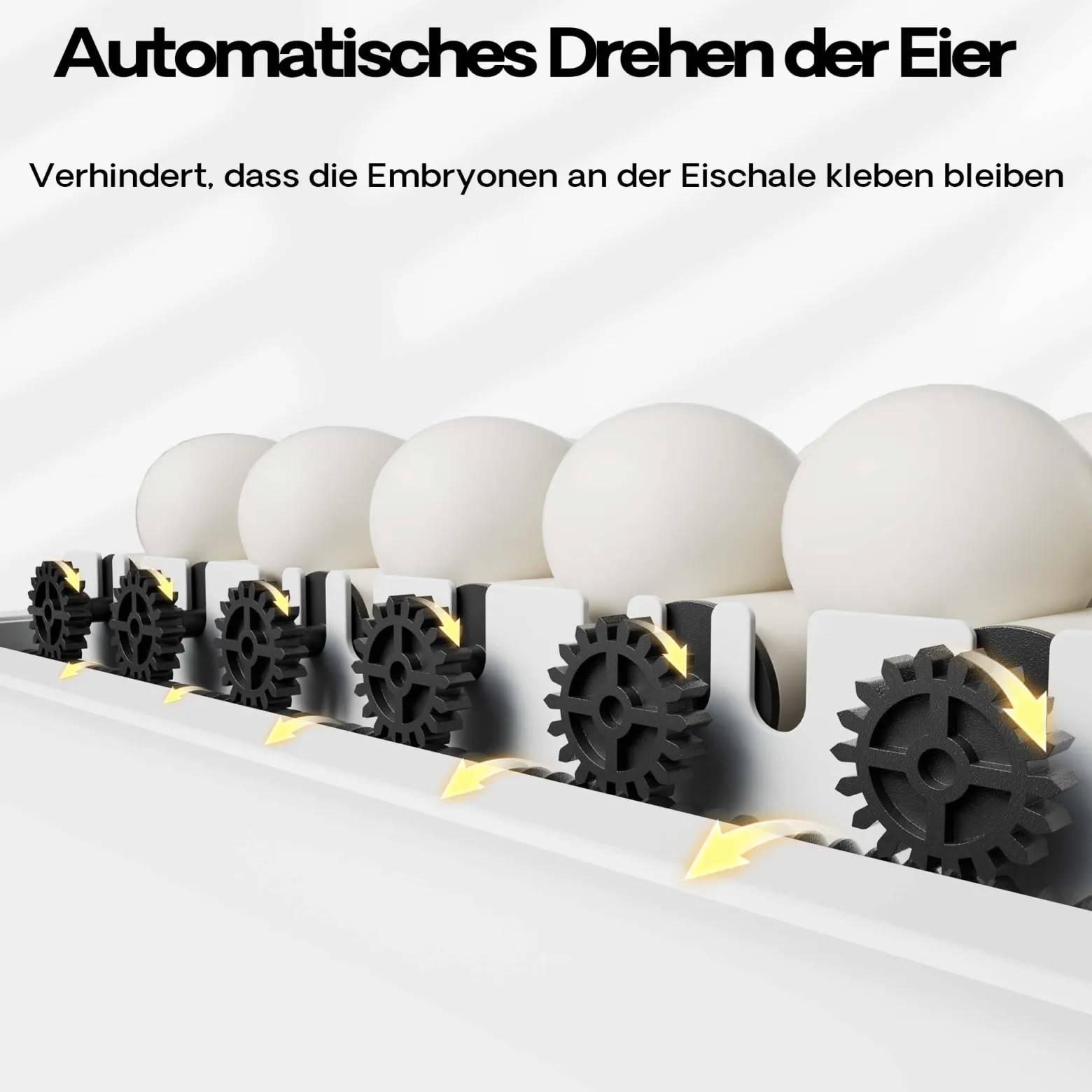 Fudajo Vollautomatischer Flächenbrüter für 36 Eier, Inkubator 45 W mit Wendesystem, Brutautomat mit Temperatursteuerung und Feuchtigskeitsregulierung, Brutkasten zum Eier ausbrüten
