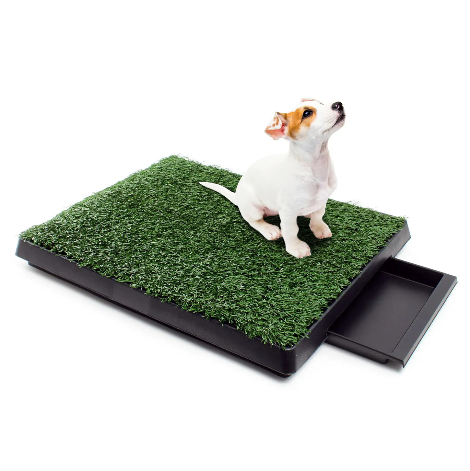 Fudajo Welpen Hundetoilette mit Gras 63x51cm – Hundeklo mit Kunstrasen als Trainingsunterlage für Welpen und Hunde