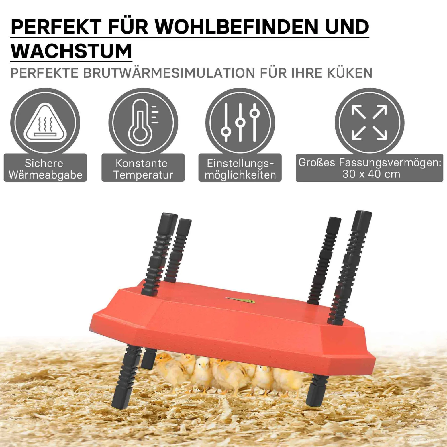 Fudajo 30x40cm Küken-Wärmeplatte mit Temperaturregler 30W Heizplatte für 25-30 Küken für Kunstbrut