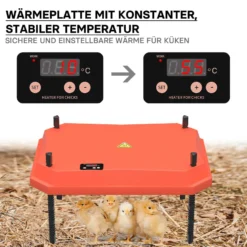 Fudajo 30x40cm Küken-Wärmeplatte mit Temperaturregler 30W Heizplatte für 25-30 Küken für Kunstbrut