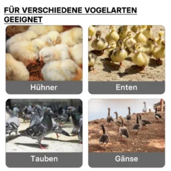 Fudajo 25x30cm Küken-Wärmeplatte mit Temperaturregler 20W Heizplatte für 15-20 Küken für Kunstbrut