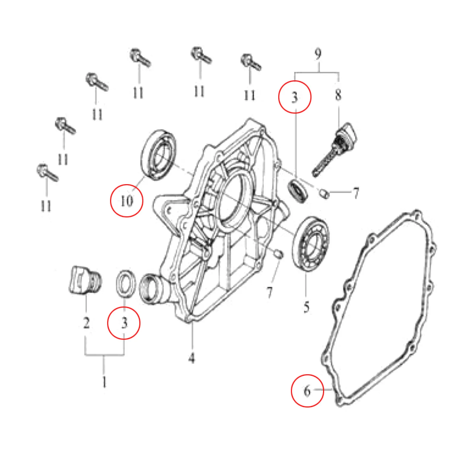LIFAN Ersatzteil für 6,5 PS Benzinmotor Dichtungssatz, leistungsstarker 4-Takt Motor, Benzin Motor Hubraum 196 ccm E10 kompatibel