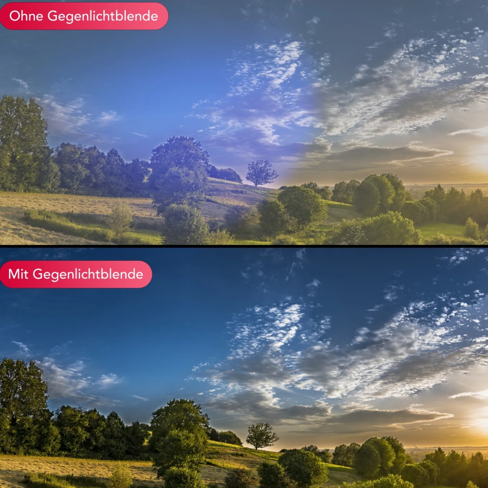 Samyang Gegenlichtblende für AF 75 mm F1,8 Sony FE Sonnenblende Objektivschutz gegen Streulicht und Reflexionen