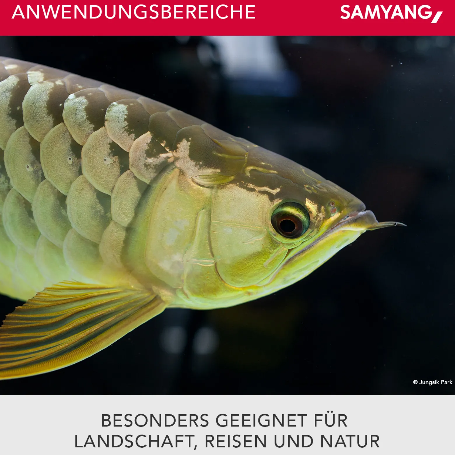 Samyang Weitwinkel Cine- und Video Objektiv MF 35mm T1,5 VDSLR MK2 EF – lichtstark T1,5 kompatibel mit Canon EF Mount, 35 mm Festbrennweite, Follow Focus Zahnkränze Vollformat und APS-C, 8K Auflösung