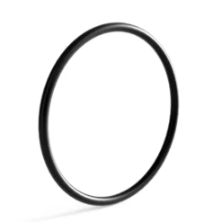 SunSun Ersatzteil Auslass O-Ring für Bio Teichfilter CBF-350B - Durchlauffilter Teich bis 60.000 L Teichvolumen - bis 10000 l/h - 2 Kammer-System Teich Filter Biofilter Koiteich