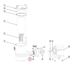 SunSun Ersatzteil für Schwimmbadpumpe O-Ring 2, leistungsstarke Poolfilteranlage, Filterpumpe mit hoher Förderleistung, robuste Pool Pumpe