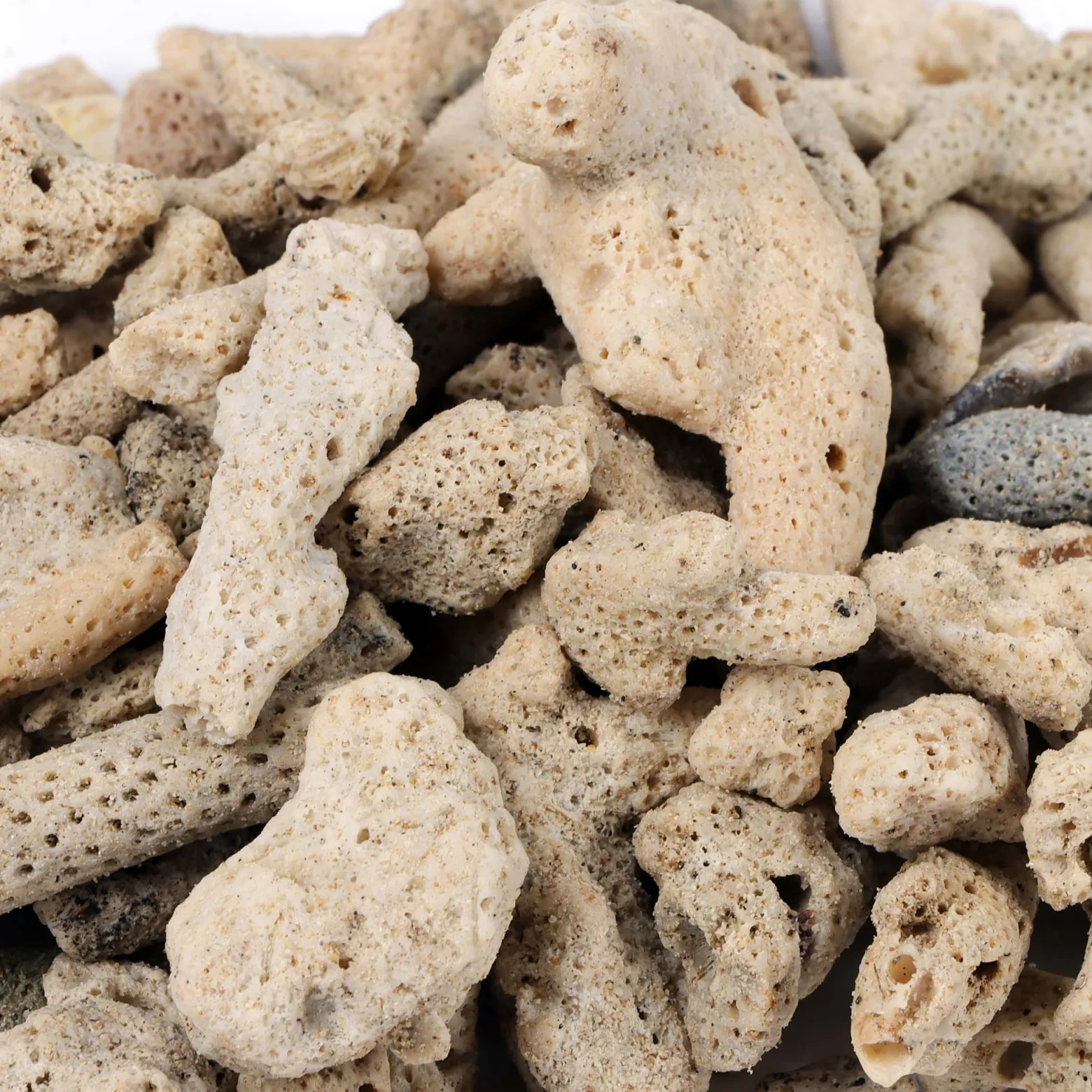 SunSun 0,5kg Aquarium Korallensand, sehr grober Sand für die Besiedlung mit nitrifizierenden Bakterien im Filter, für Teich- und Aquariumfilter