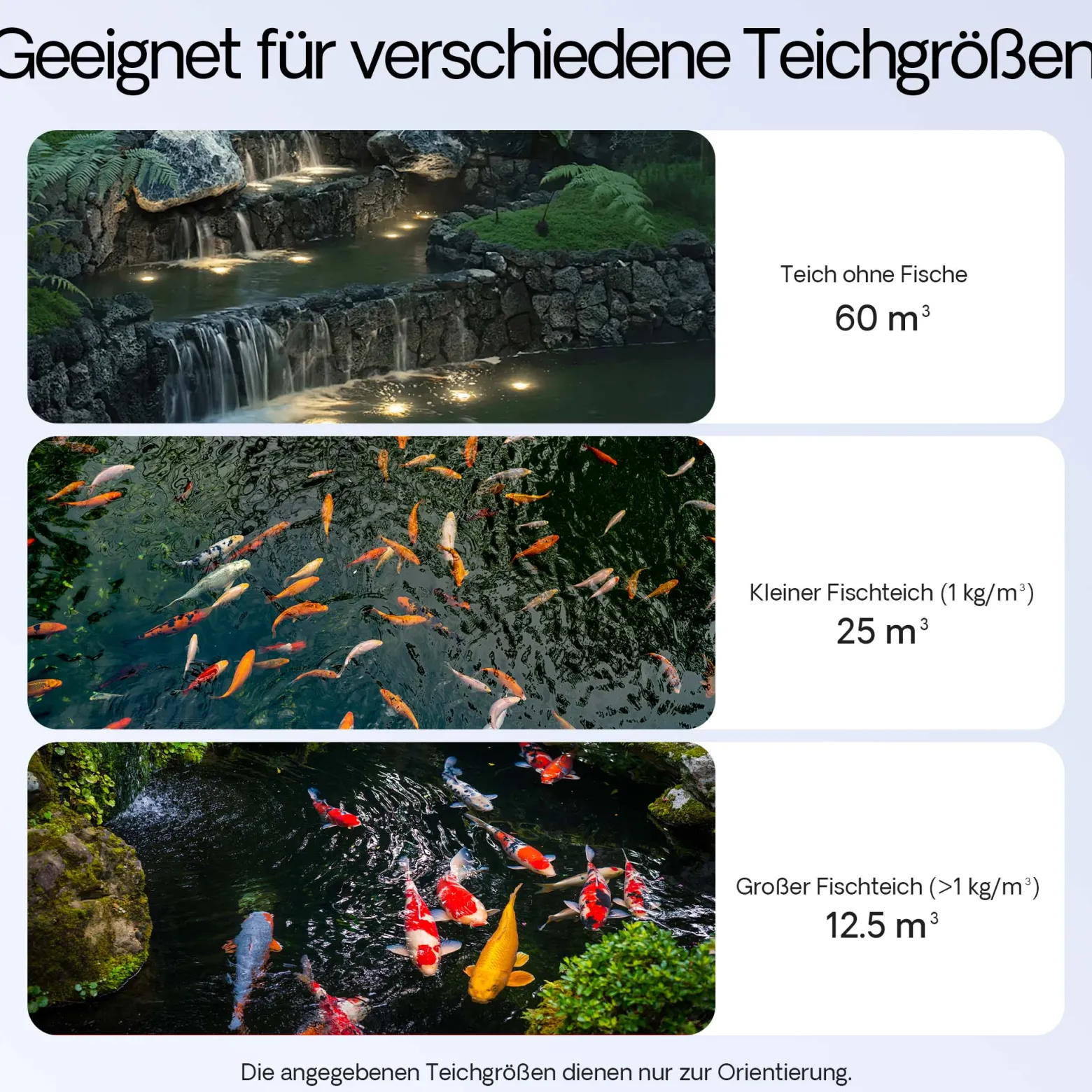SunSun Komplettset: CBF-350B Teichfilter bis 60000 L Teichfilteranlage Durchlauffilter, NEO10000 Teichpumpe 10000l/h 80W, CUV-236 Teichklärer UVC Klärer mit 36W, 25m Teichschlauch 25 mm, Y-Verteiler