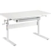 Toboli Kinderschreibtisch verstellbar 100 x 60 cm, mitwachsender Schreibtisch für Kinder neigungs-/höhenverstellbar mit Schublade