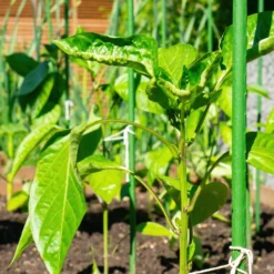 Toboli 10x Pflanzstäbe grün 120 cm Ø 11 mm Rankstäbe aus Metall und Kunststoff, Pflanzstangen für Tomaten und Kletterpflanzen