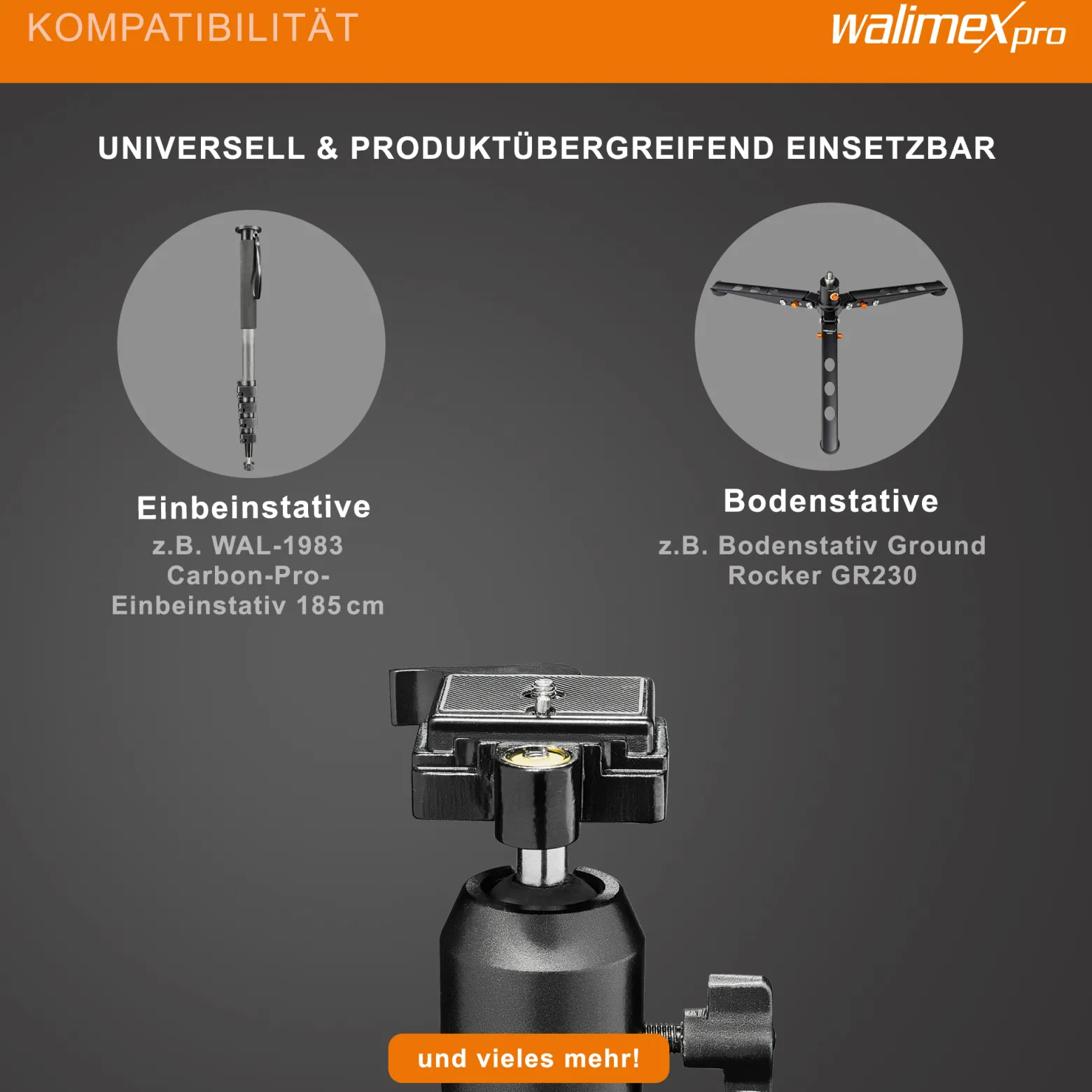 Walimex FT-002H Pro-Kugelkopf, hochwertiger Stativkopf mit Schnellwechselplatte, ideal für Einbeinstativ, Stativ-Kopf mit 1/4'' Kameraanschluss & 1/4'', 3/8'' Stativgewinde