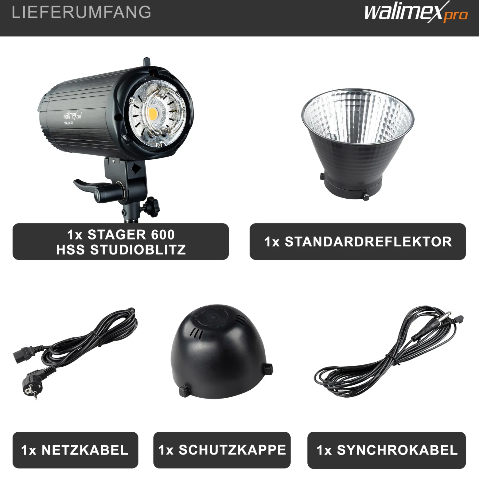 Walimex pro Campaigner 600 HS Studioblitz mit integriertem 2,4 GHz Empfänger, Blitzgerät 600 Ws mit Reflektor, Fotoblitz mit schneller Abbrennzeit, LED-Einstelllicht und Bedienpanel
