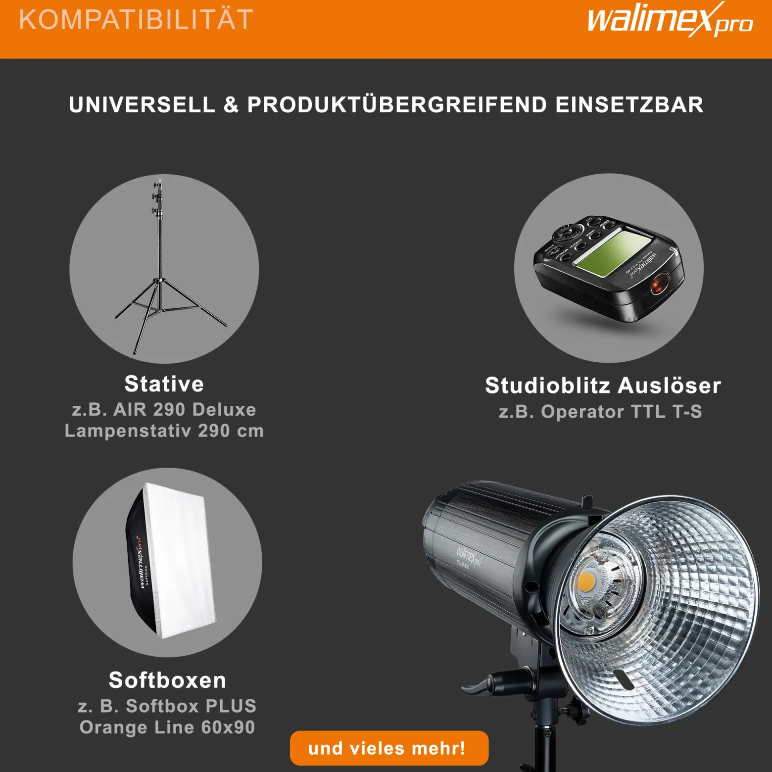 Walimex pro Campaigner 600 HS Studioblitz mit integriertem 2,4 GHz Empfänger, Blitzgerät 600 Ws mit Reflektor, Fotoblitz mit schneller Abbrennzeit, LED-Einstelllicht und Bedienpanel