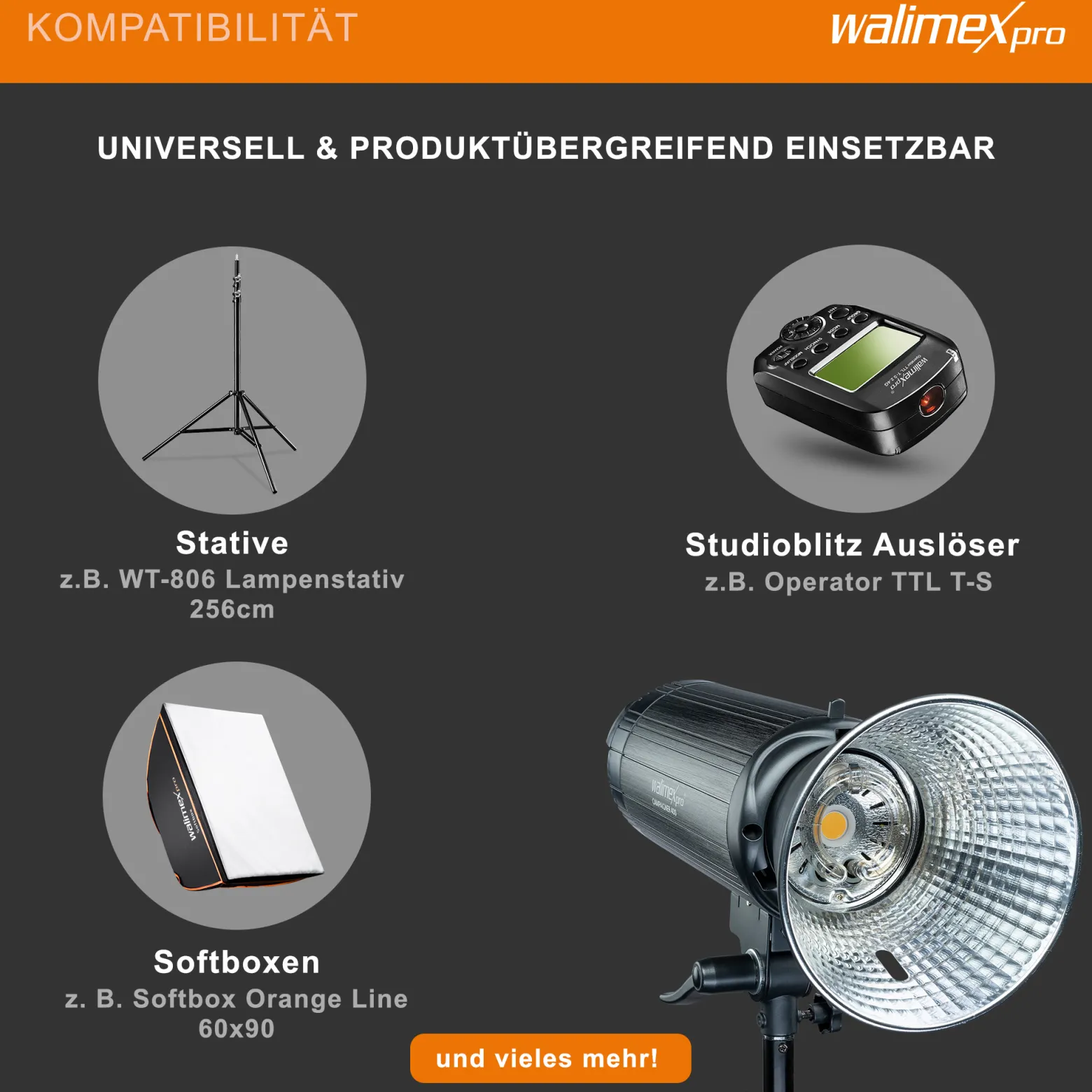 Walimex pro Campaigner 400 HS Studioblitz mit integriertem 2,4 GHz Empfänger, Blitzgerät 400 Ws mit Reflektor, Fotoblitz mit schneller Abbrennzeit, LED-Einstelllicht und Bedienpanel