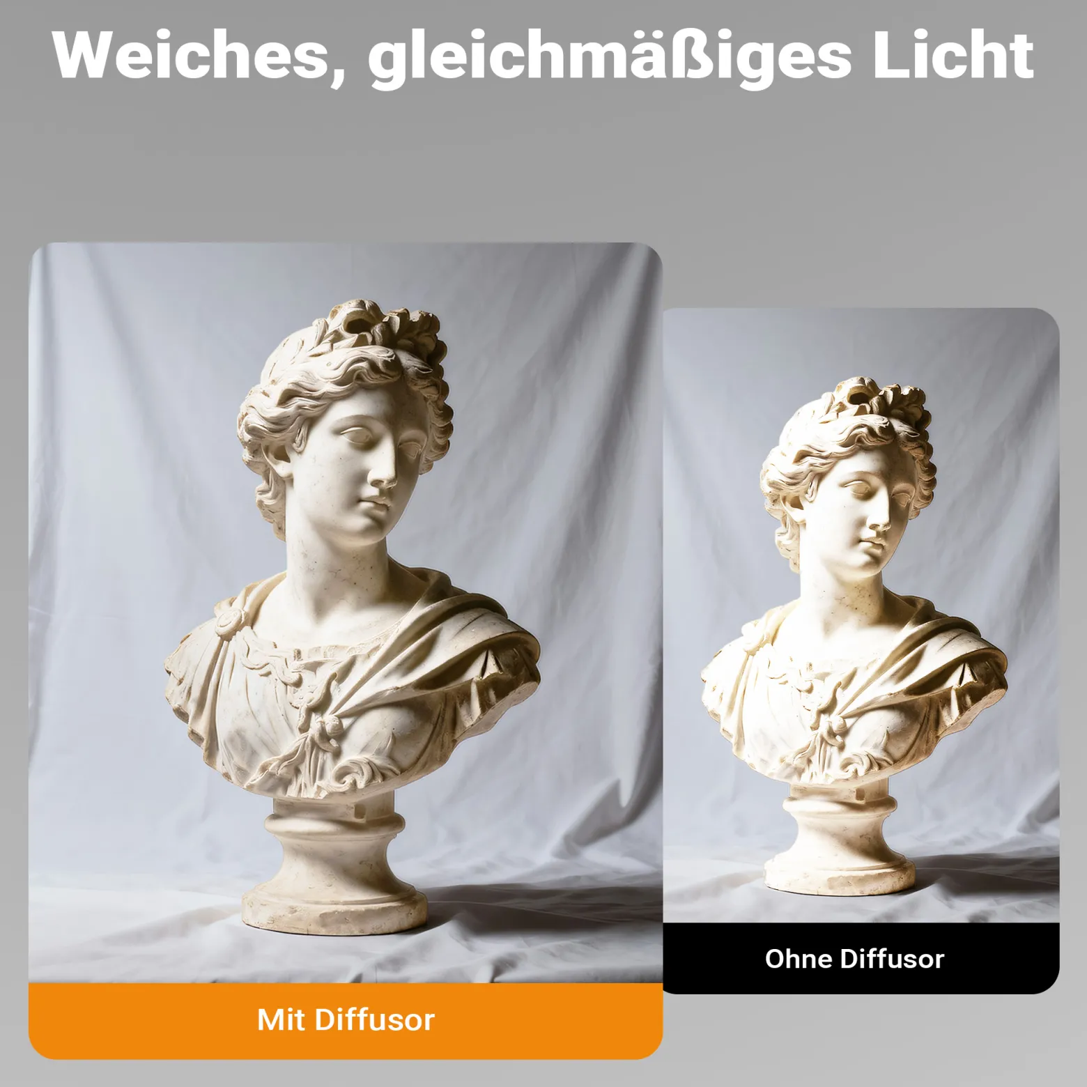 Walimex pro Diffusor für Parabol Reflexschirme Ø 165 cm – Lichtdiffusor für weiches, gleichmäßiges Licht in Fotostudio und Porträtfotografie
