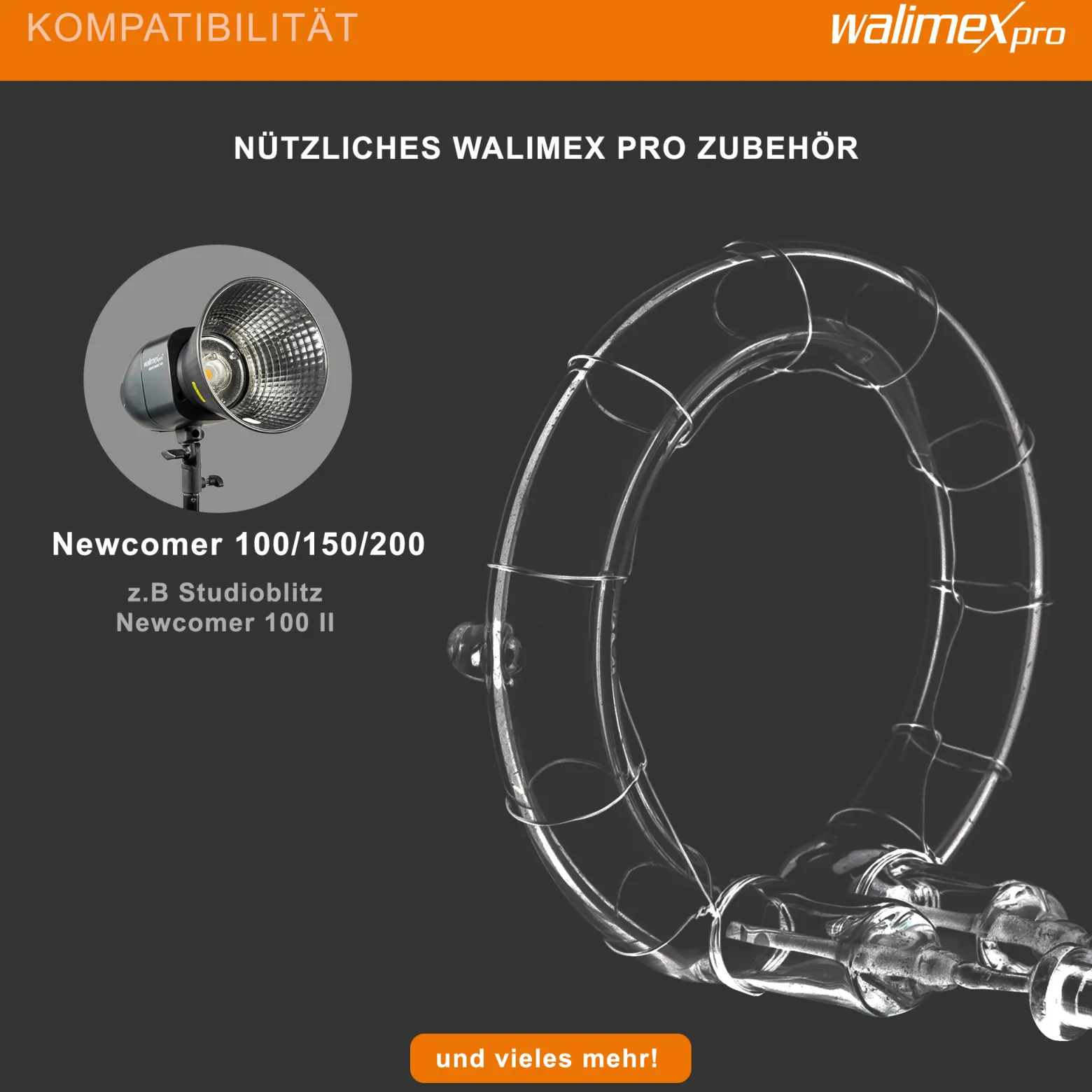 Walimex pro Ersatzblitzröhre für den Studioblitz Newcomer 100/150/200, VT-100/150/200, Leistungsaufnahme 100W, Farbtemperatur 5400-5800 K, Ersatz Blitz leicht zu wechseln
