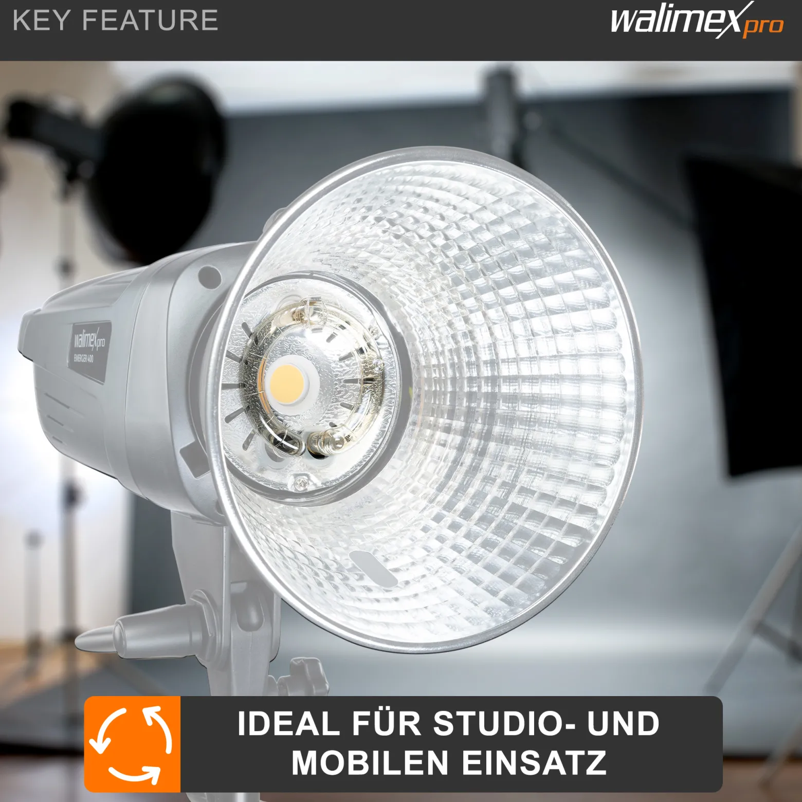 Walimex pro Ersatzblitzröhre für den Studioblitz VC-200/300 Typ 2, Leistungsaufnahme 300W, Farbtemperatur 5400-5800 K, Ersatz Blitz leicht zu wechseln