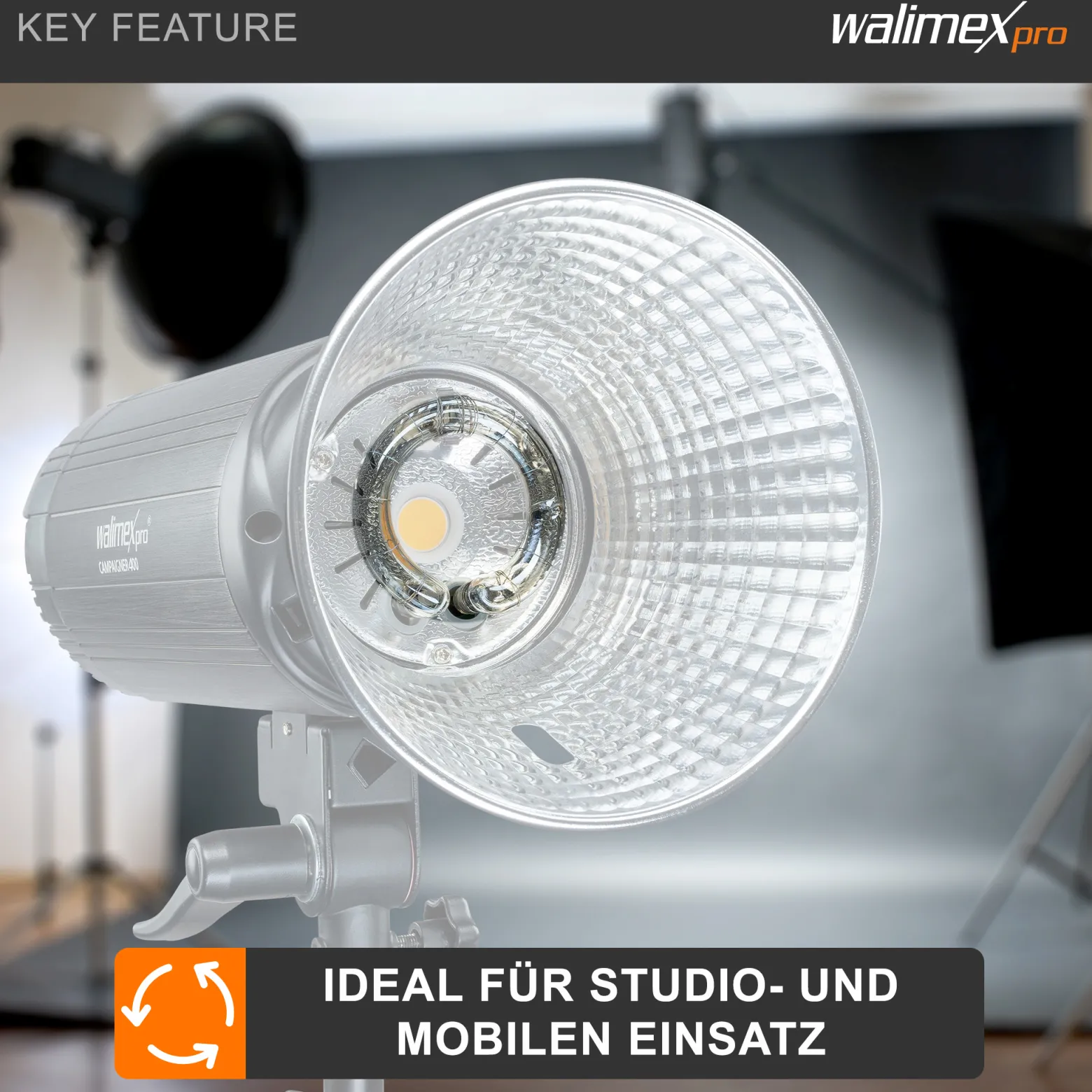 Walimex pro Ersatzblitzröhre für Mover 400 TTL, Stager 400, Campaigner 400 – Studioblitz Blitz Röhre Blitzrohr Ringblitzröhre