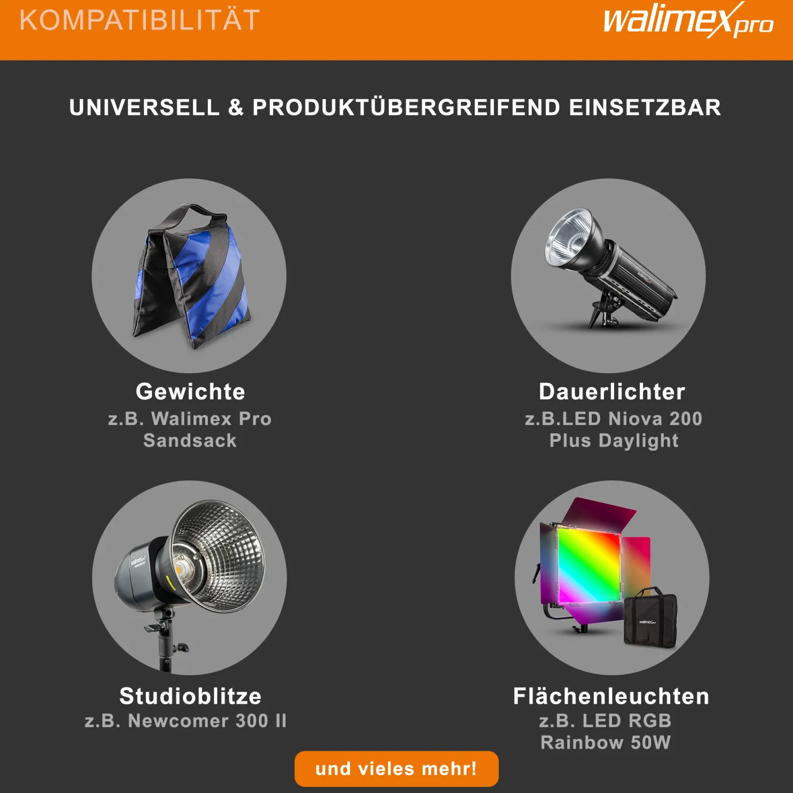 Walimex pro Galgenstativ mit Rollen und Gegengewicht Schwarz, höhenverstellbares Dreibeinstativ 140-450 cm, Kamerastativ mit 290 cm Auslegearm drehbar und neigbar auch für schweres Equipment