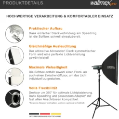 Walimex pro Komplettset mit 35 W LED Studioleuchte, 90 x 60 cm Softbox, Lampenstativ bis 256 cm, Studiolicht 5000 K Farbtemperatur, Lichtstativ mt Federdämpfung, professionelles Fotostudio Set
