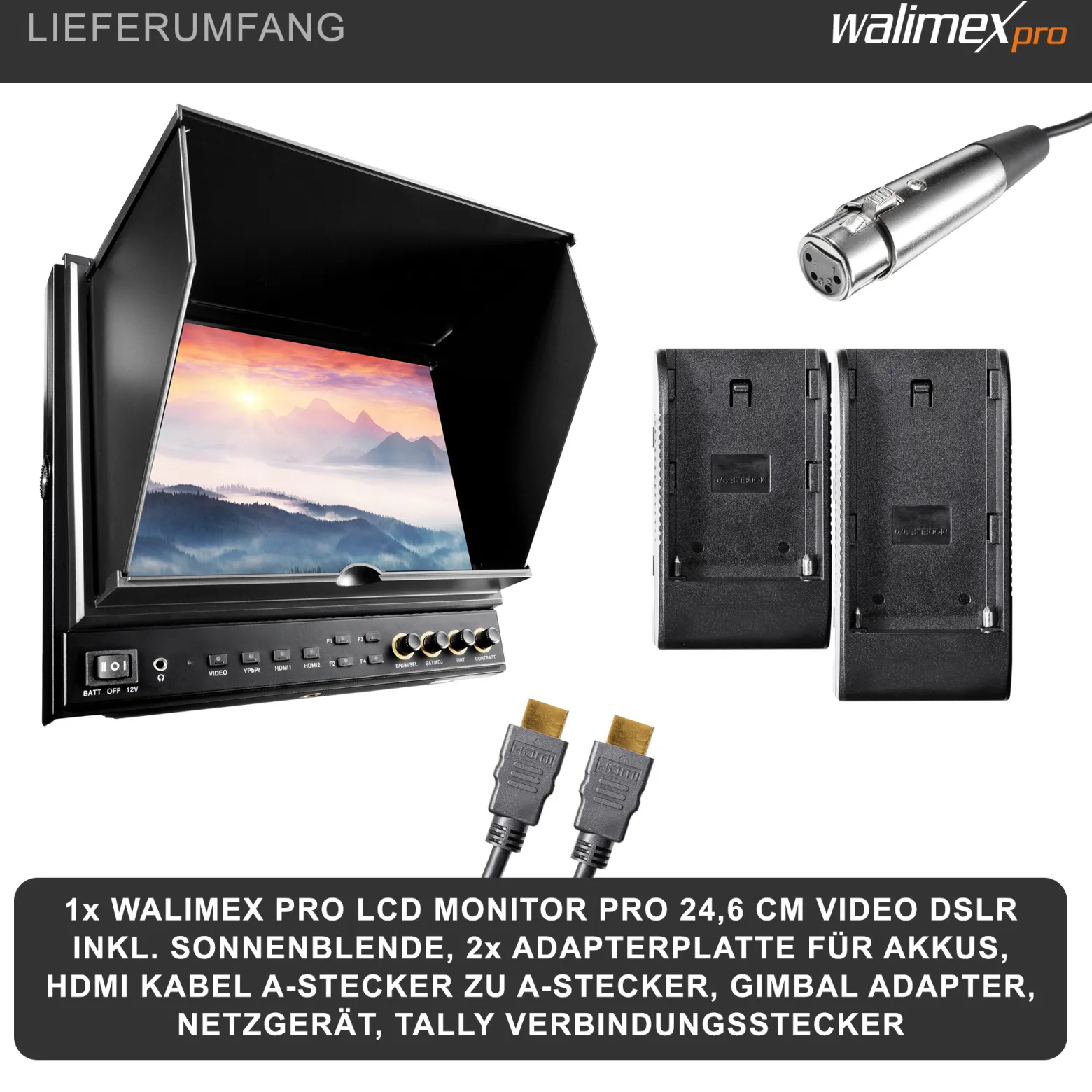 Walimex pro LCD Monitor Director II 9,7' Professioneller Video Screen 24,6 cm mit 1920 x 1080 Pixel, Full HD, 8-fach Zoom, HDMI Out - für Video DSLR Kamera