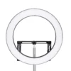 Walimex pro LED Ringleuchte 500 Bi-Color, dimmbares Ringlicht 32 W, Leuchtring mit einzeln schatlbaren Sektoren, Selfie Licht mit umfangreichem Zubehör