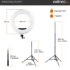 Walimex pro Medow 960 Pro LED-Ringlicht inkl. Stativ, Ringleuchte Bi-Color 3200-5500 K, dimmbare Videoleuchte mit Fernbedienung 96 W, Lampenstativ mit Federdämpfung