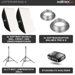 Walimex pro Newcomer 300 II 2er Set, Studioblitz Set inkl. Softboxen und Lampenstativen, LED Studiolicht 300 W mit Funk, hohe Lichtleistung ideal für Fotostudio