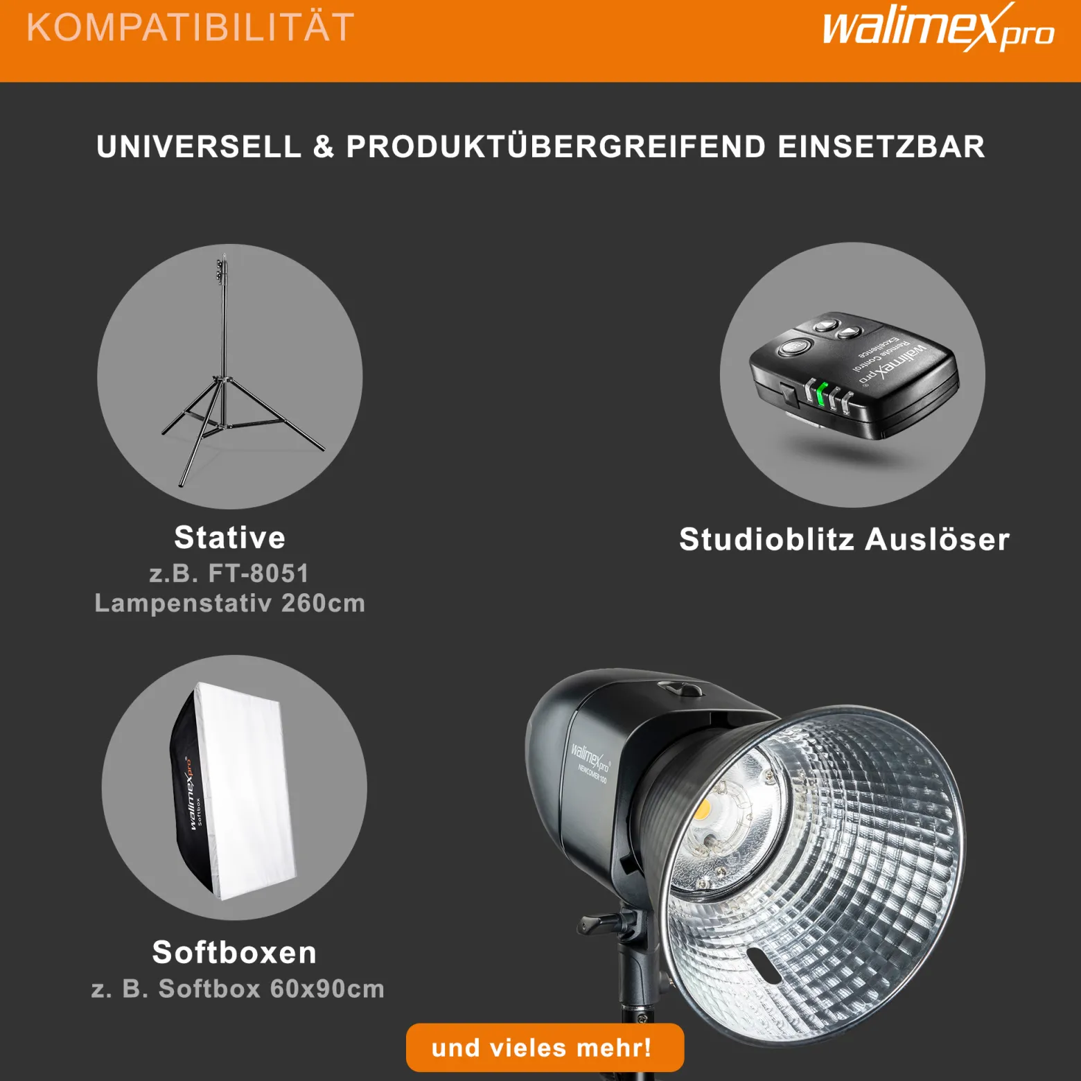 Walimex pro Newcomer 100 II Studioblitz, LED Studiolicht mit Funk, Studiolampe mit hoher Lichtleistung, Studio Blitz mit Überhitzungsschutz ideal für Fotostudio