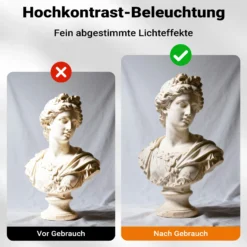 Walimex pro Parabol Reflexschirm schwarz/ silberfarben Ø 165 cm für kontrastreiches Licht