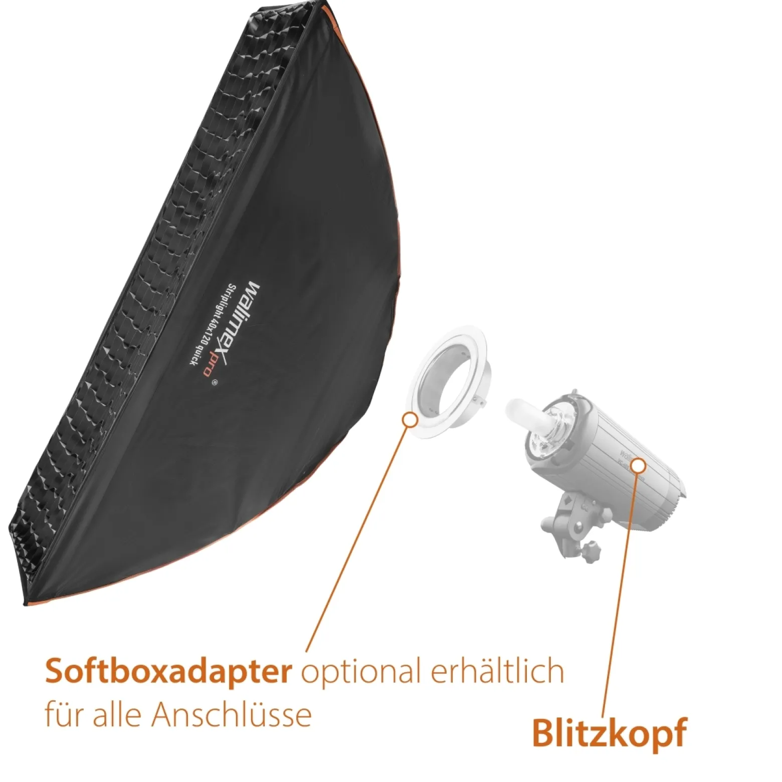 Walimex pro Studio Line Striplight Softbox 40 x 120 cm, Soft Box inkl. Diffusor, Lichtformer 360° drehbar, faltbar, schneller Aufbau, für Studioblitz oder Studioleuchte