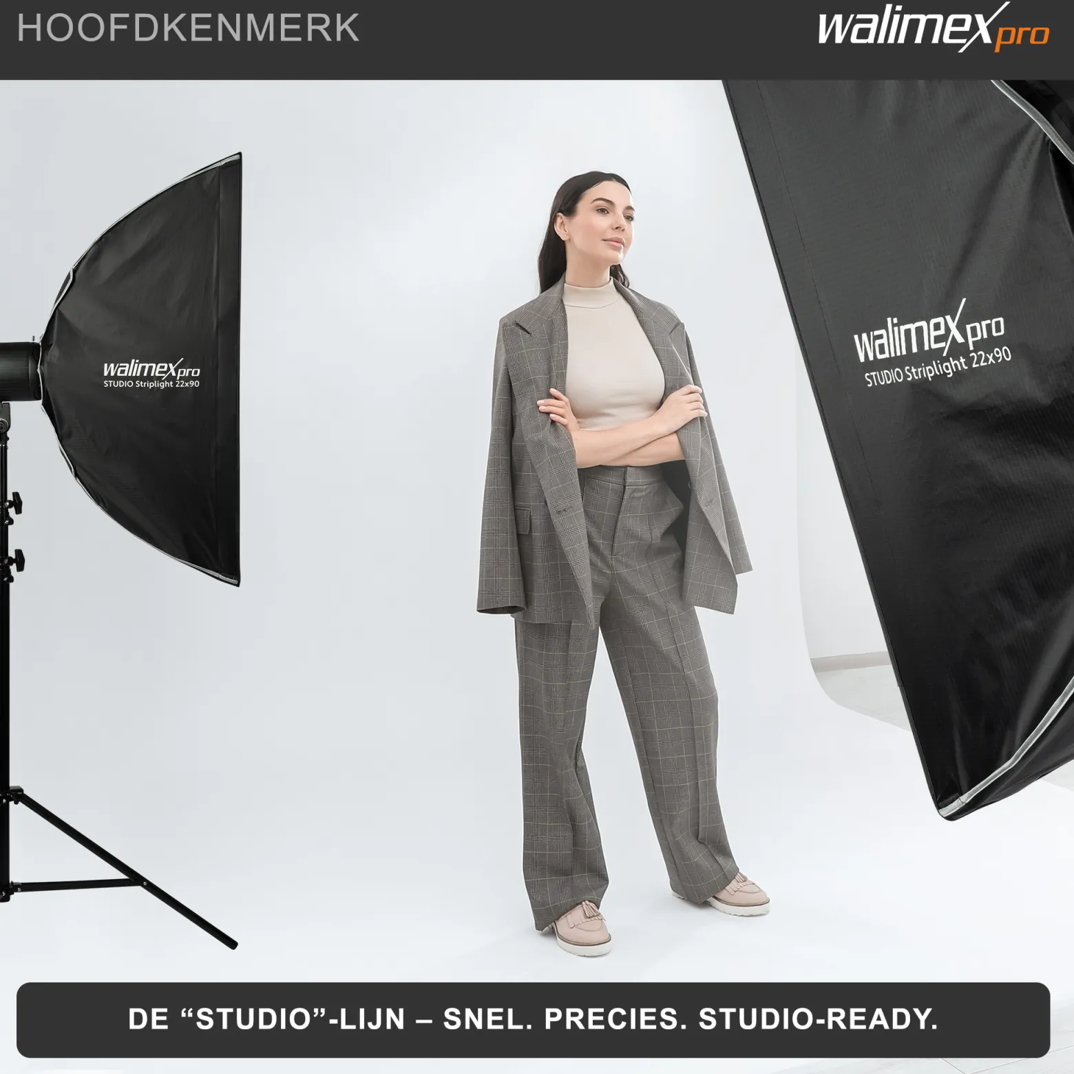 Walimex pro Studio Striplight Softbox 22 x 90 cm, Lichtformer um 360° drehbar, einfacher Aufbau dank Schirmfunktion, inkl. Grid, Maske, Bowens Adapter u. Tasche, ideal für Produkt- u. Peoplefotografie